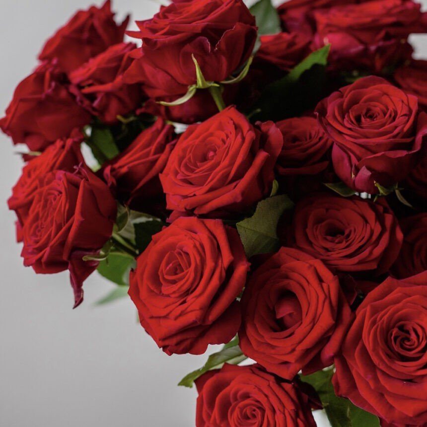 dfgdfgshghhhhhh-860x860