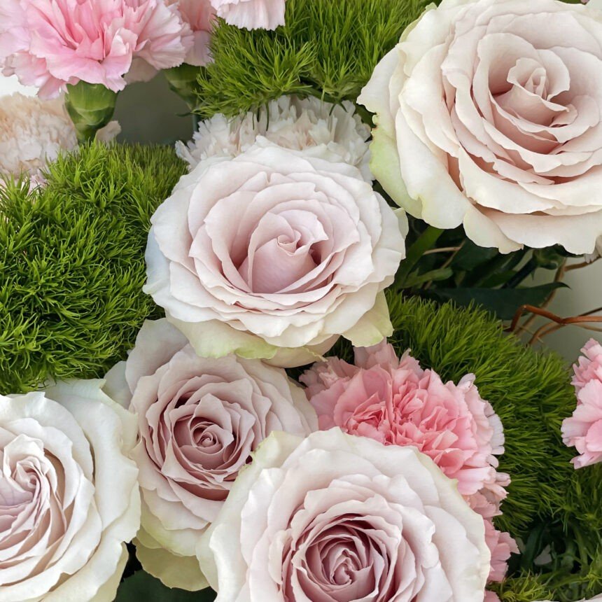 jhgjghjgjgj777777-860x860