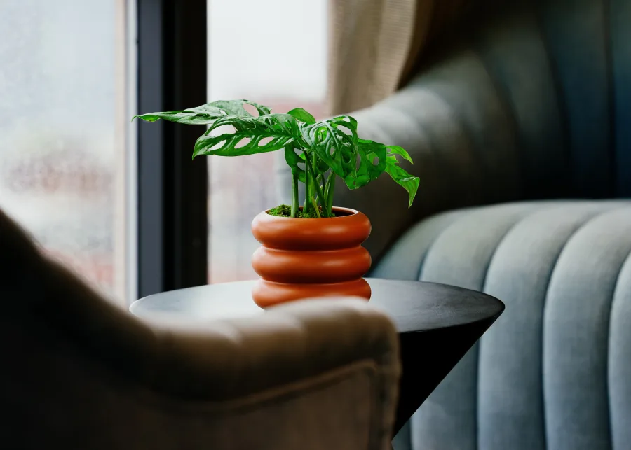 Demeter_3_Lifestyle_Carousel