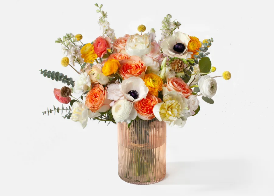 DesignersTouch_Carousel