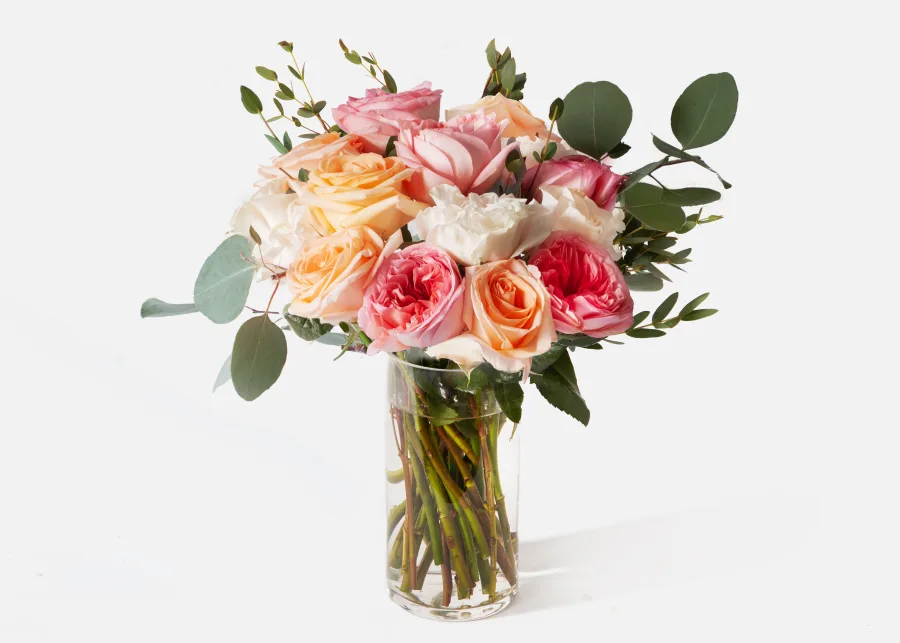 EnglishRose_carousel