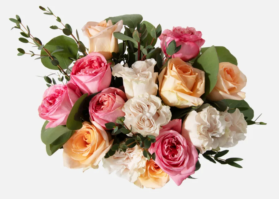 EnglishRose_top