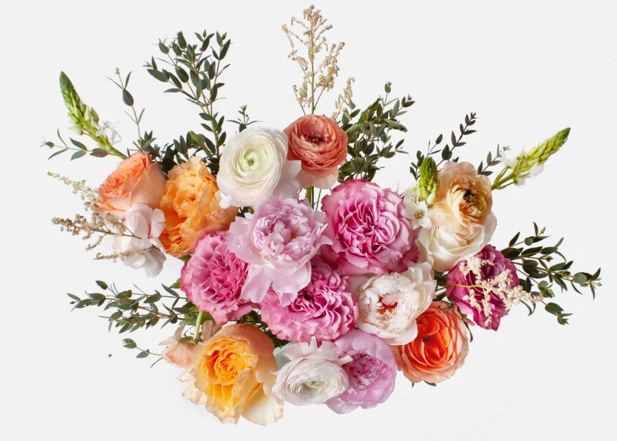 PeonySunrise_Top