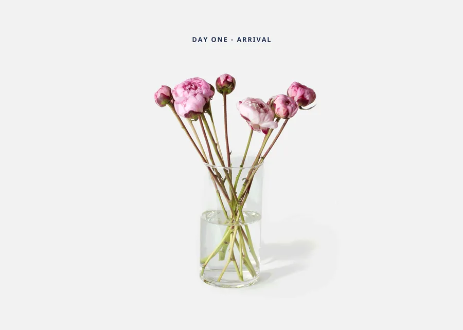 Peony_2024_BeforeAfter_Carousel